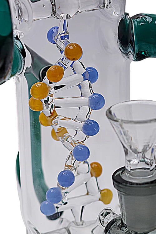Dragon DNA Perc Glass Water Pipe
